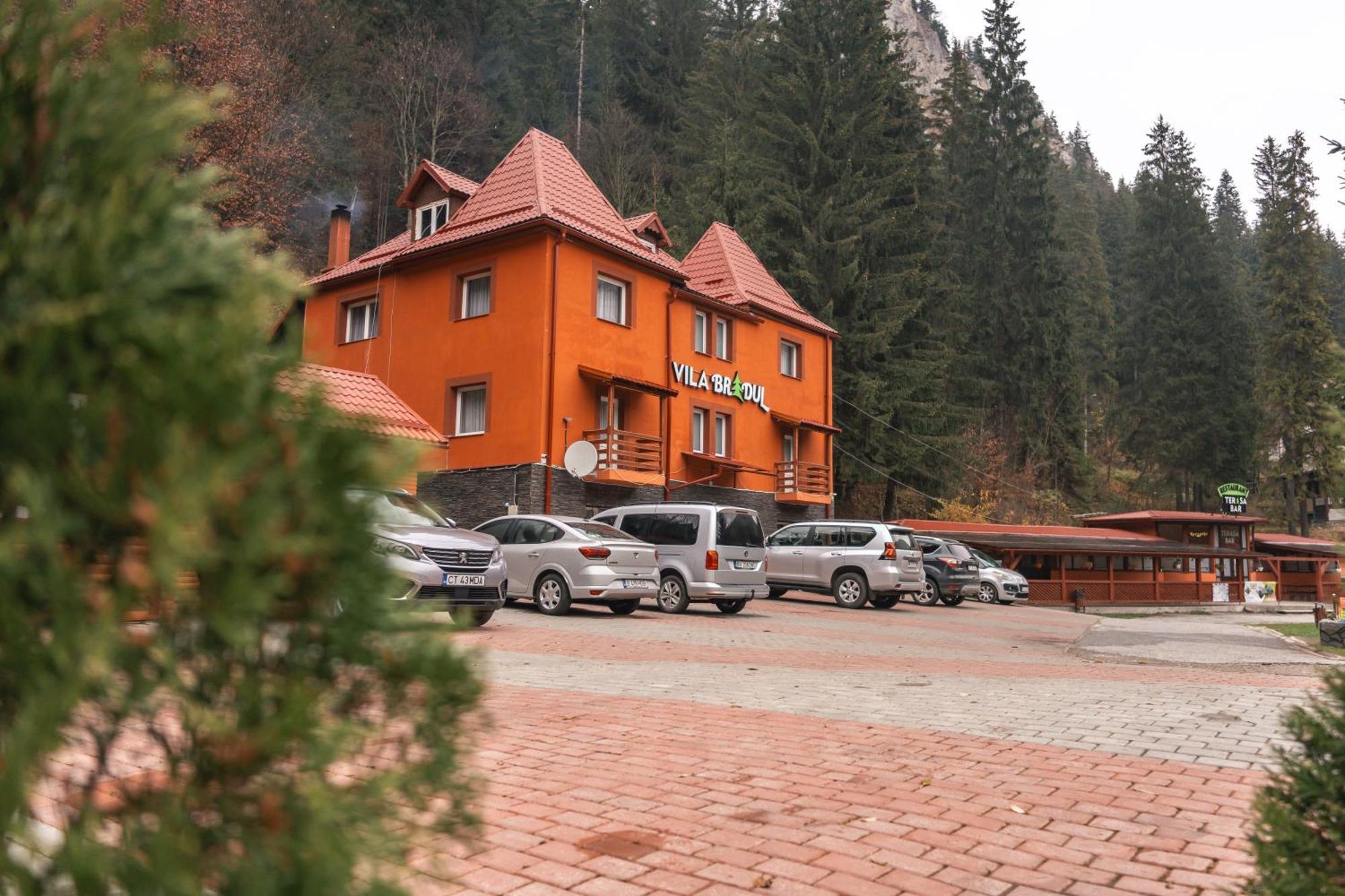 Vila Bradul Lacu Rosu Luaran gambar